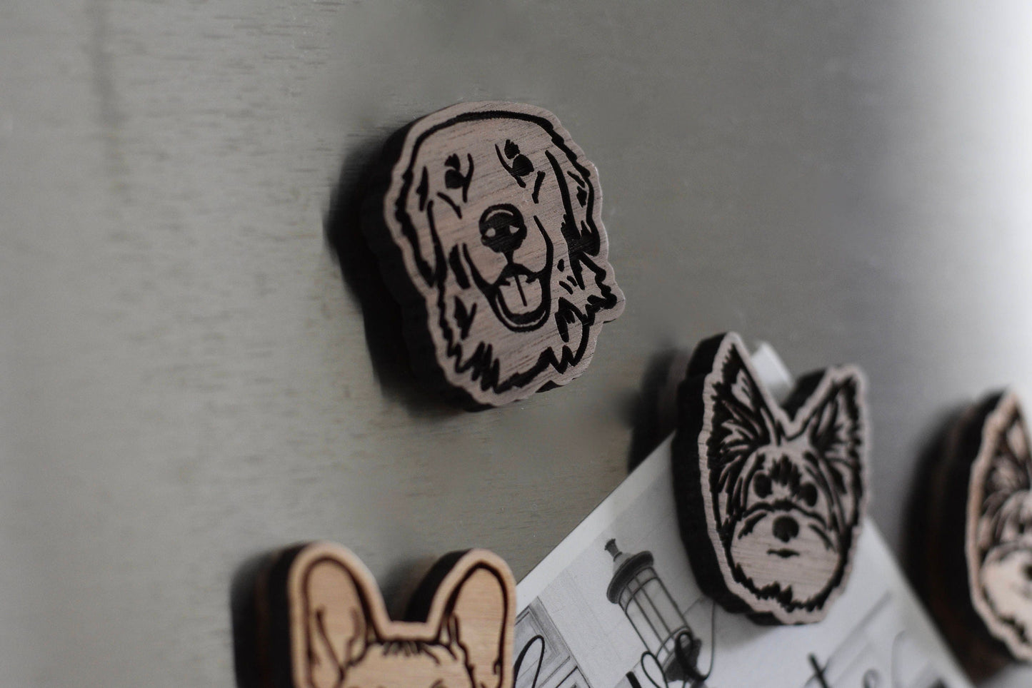 Golden Retriever Magnet (walnut or cherry)